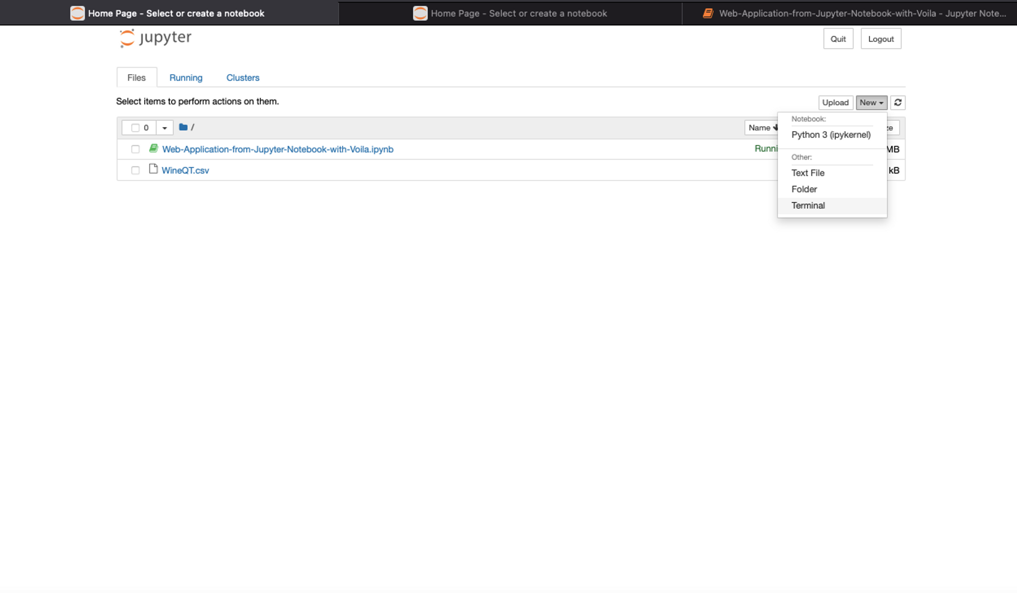 Open Jupyter Terminal